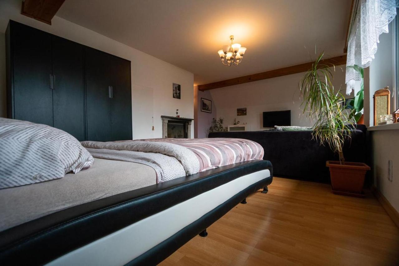 Sirovka Villa Horni Polubny Ngoại thất bức ảnh